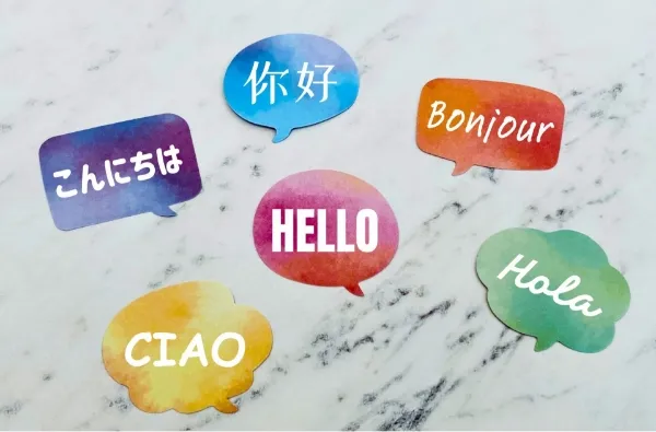 多言語対応